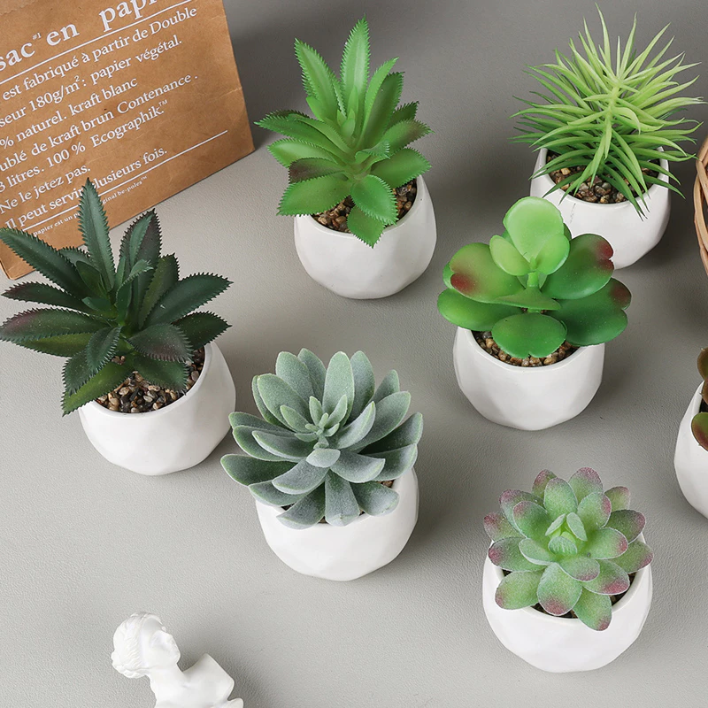 Mini Succulents

Bring a touch of greenery to your party with mini succulents as souvenirs. These adorable plants are not only trendy but also symbolize growth and longevity.